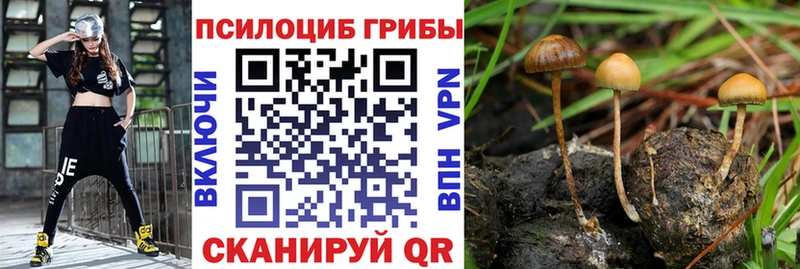Галлюциногенные грибы прущие грибы  Томилино 